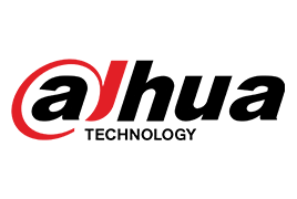 dahua